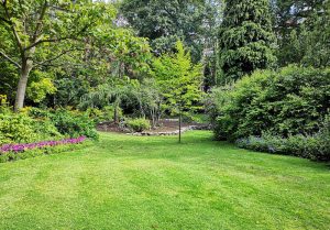 Optimiser l'expérience du jardin à Neuilly-en-Donjon