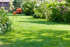 travaux jardin et paysage Neuilly-en-Donjon